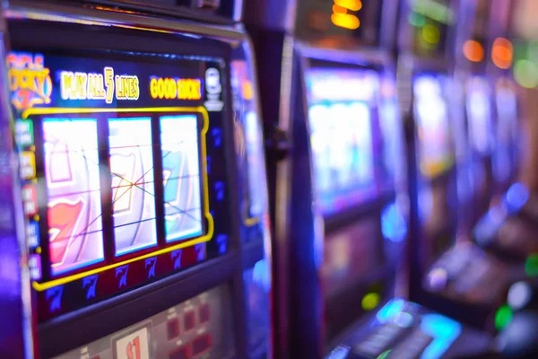 Game history and results tajir4d game history showing Domino QQ results and payouts